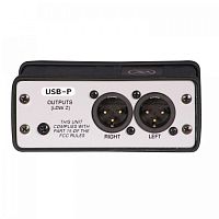 PEAVEY USB-P